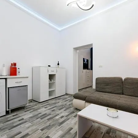 Joy Ultracentral Chic Apartament Timişoara